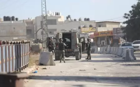 الاحتلال يستولي على أسمدة زراعية في سردا شمال رام الله