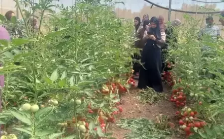 الإغاثة الزراعية تنفذ زيارة تبادلية لمزارعي الخضار في قلقيلية