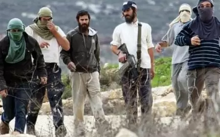 مستوطنون يهاجمون منزلا في بيتا جنوب نابلس