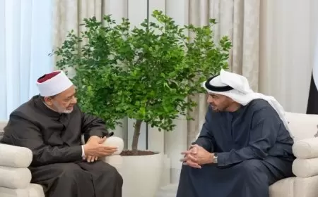 تفاعل مع استقبال رئيس الإمارات لشيخ الأزهر
