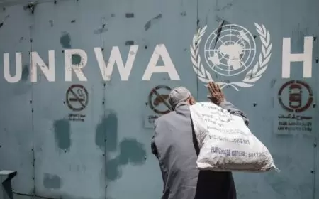 الهند وإندونيسيا تقدمان 3.7 مليون دولار دعما لوكالة "الأونروا"