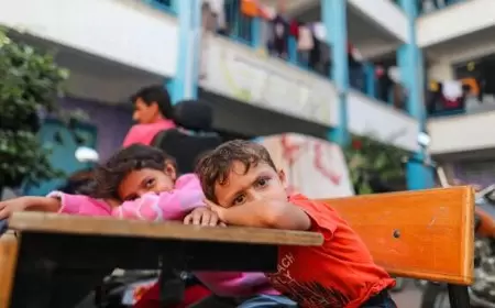 "التربية": 9241 طالب استشهدوا منذ بدء العدوان على قطاع غزة