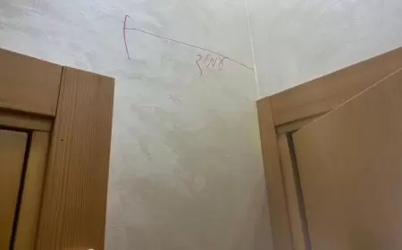 قلقيلية: الاحتلال يعتقل مواطنة ويأخذ قياس منزلين تمهيدا لهدمهما