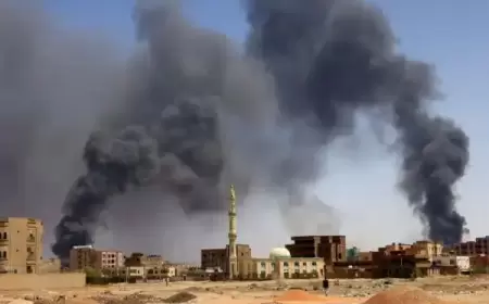 الجيش السوداني يسقط مسيّرات للدعم السريع في المناقل بولاية الجزيرة