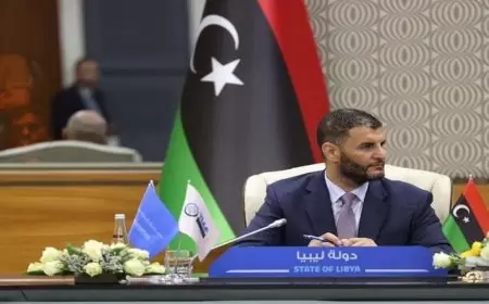 الداخلية الليبية: عدد المهاجرين قد يفوق 3 ملايين وشهريا يدخل ليبيا 120 ألف مهاجر