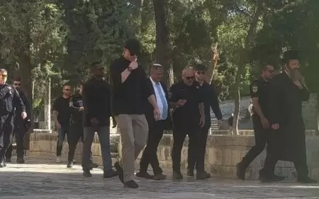 بن غفير يقتحم المسجد الاقصى