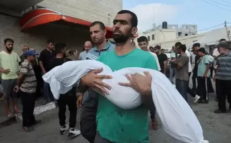 الاحتلال يواصل عدوانه على قطاع غزة مخلفاً شهداء وجرحى