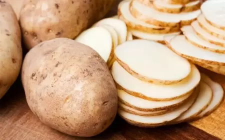 البطاطس ذات البراعم يمكن تناولها.. لكن احذروا هذه الأمور