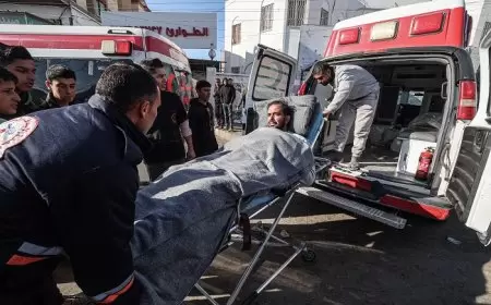 الاحتلال يفرج عن 7 معتقلين من قطاع غزة: تعذيب وتنكيل على مدار الساعة