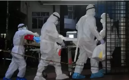 لا علاج ولا لقاح له.. فيروس يقتل طفلا هنديا وتحديد 60 مخالطا