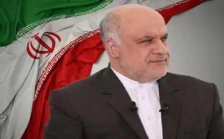 السفير الإيراني في لبنان: لا نتوقع أن تشن إسرائيل حربا على حزب الله