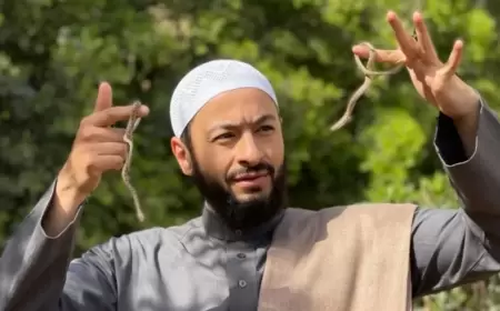 بينها المداح 5 .. مسلسلات تحجز مقعدها في سباق رمضان 2025