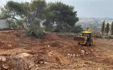 لتنفيذ بناء استيطاني- أعمال تجريف وخلع أشجار بأرض عائلة عليان في بيت صفافا