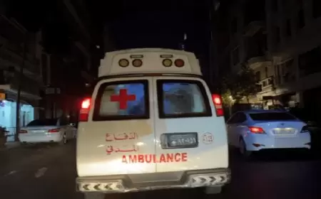 شهيدتان جراء الضربة الإسرائيلية على الضاحية الجنوبية لبيروت