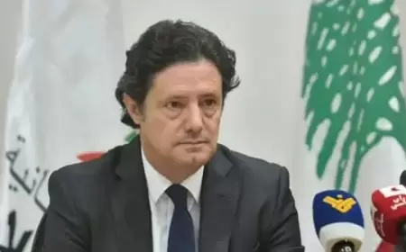 وزير الاعلام اللبناني: لبنان سيرفع شكوى إلى مجلس الأمن عقب الاعتداء على الضاحية