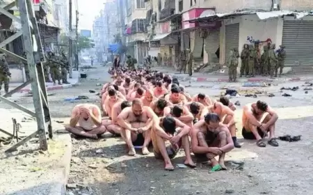 الأمم المتحدة: إسرائيل عذبت وأطلقت الكلاب على معتقلين من غزة