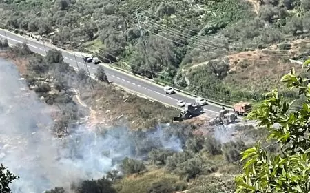 الاحتلال يجرف أراضي زراعية على مدخل رامين شرق طولكرم