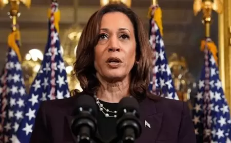 هاريس تفوز بترشيح الحزب الديمقراطي للرئاسة في أميركا