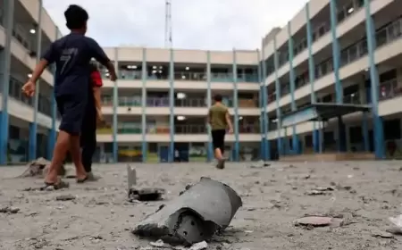 أكثر من 10 آلاف طالب استشهدوا منذ بدء العدوان على قطاع غزة