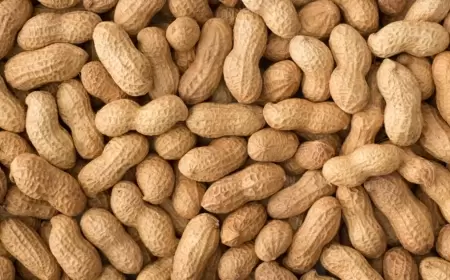 أستراليا تطلق أول علاج فموي لحساسية الفول السوداني في العالم