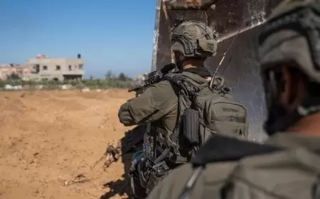 309 ايام للحرب على فلسطين