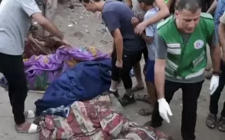 310 أيام للحرب على فلسطين