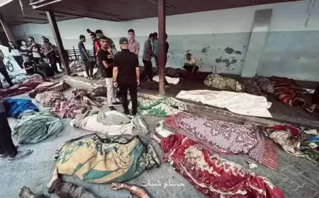 مجزرة مروعة.. أكثر من 100 شهيد في قصف مدرسة تأوي نازحين بغزة