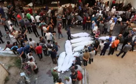 الجزائر تطلب عقد جلسة طارئة مفتوحة لمجلس الأمن في أعقاب مجزرة مدرسة "التابعين"