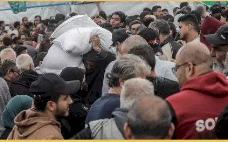 وزارة التنمية الاجتماعية تواجه تحديات كبيرة في إدارة المساعدات الإنسانية خلال حرب الإبادة على قطاع غزة   