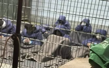 ضرب واكتظاظ وجوع.. أسرى أطلق سراحهم يروون الانتهاكات البشعة في السجون الاسرائيلية