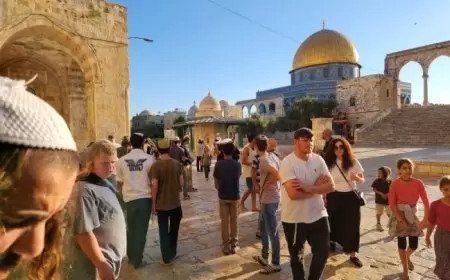 يوم "لتجديد العهد لبناء الهيكل".. مئات المستوطنين يستبيحون الأقصى