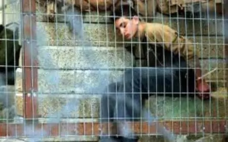 أوضاع صحية صعبة يعيشها المعتقلان هوارين وداود