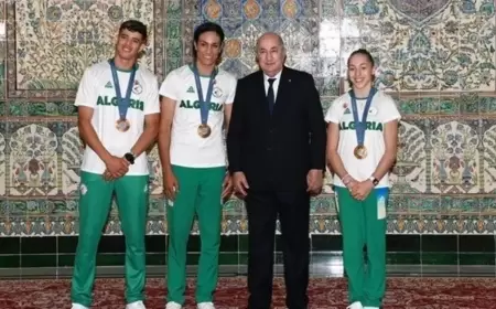 الرئيس تبون يكرم الأبطال الأولمبيين الجزائريين