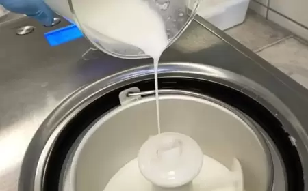 هل تذوقت الآيس كريم المصنوع من حليب الخيل؟.. علماء يكشفون مفاجأة عن فوائده