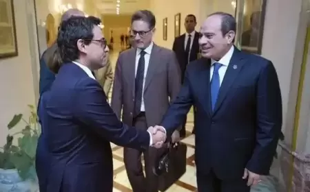 الرئيس المصري: استمرار الحرب على غزة يجر المنطقة لدائرة خطيرة