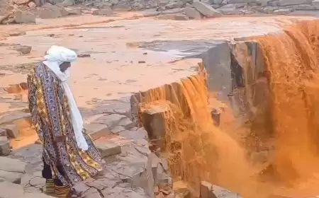 الجزائر.. سيول جارفة وانهيار جدران مبانٍ وإخراج سيارات عالقة بسبب الأمطار