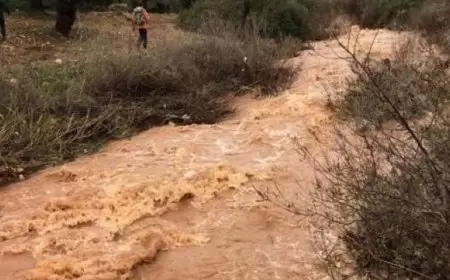 نزوح أكثر من 117 ألف سوداني جراء السيول