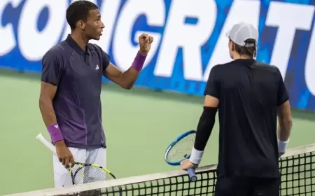 دجوكوفيتش: عدم القدرة على إعادة اللقطات في التنس "عار"