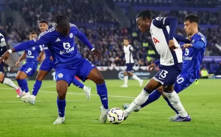 ليستر يخطف نقطة من توتنهام