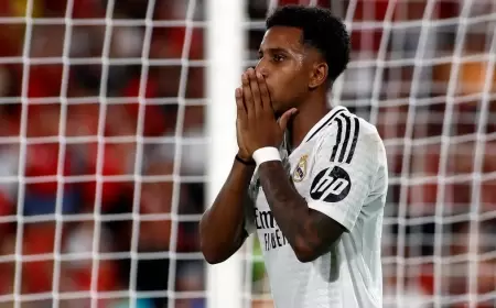 رسالة "الواتس آب" .. أنشيلوتي يناقش رودريغو