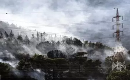 حزب الله ينشر تفاصيل 12 من هجماته ضد الجيش الإسرائيلي