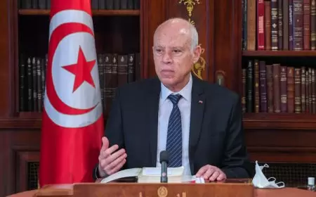 الرئيس التونسي: المصلحة العليا للبلاد اقتضت إجراء التعديل الوزاري