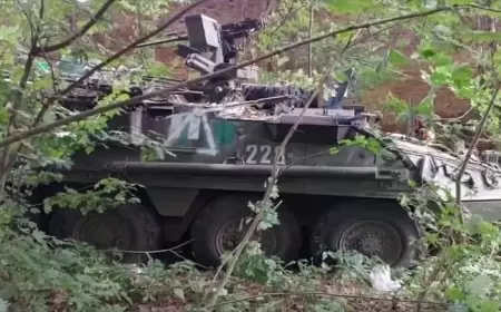 "تحصنوا في مبنى سجن".. الكشف عن تفاصيل إحباط إحدى محاولات الاختراق الأوكرانية في كورسك