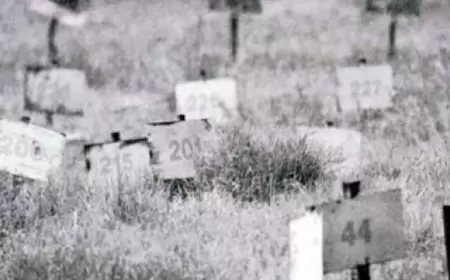 سلطات الاحتلال تحتجز 552 جثمانا لشهداء بمقابر وثلاجات