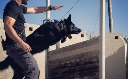 اسرائيل: مقتل حارس الأمن بمستوطنة "جيفون" هو "هجوم"