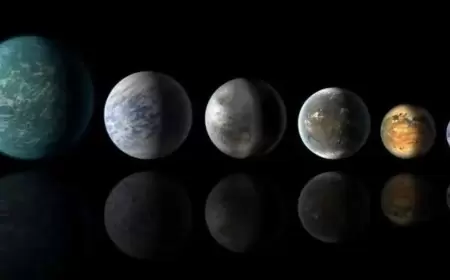 ترقبوا فجر غد.. اصطفاف 6 كواكب والقمر على جانب واحد من الشمس