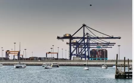 ناميبيا تمنع سفينة محمَّلة بأسلحة لـ "إسرائيل" من الرسو في موانئها