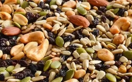 التوقيت المثالي لكل مكمل غذائي.. استشارة الطبيب ضرورة