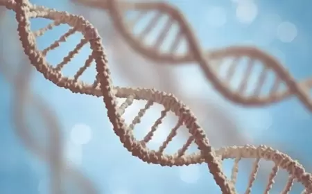 مفاجأة علمية.. هل جيناتك سر نجاحك أو فشلك؟