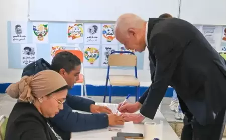 هيئة الانتخابات التونسية تُقاضي مرشحا رئاسيا مرفوضا بتهمة الاحتيال والتدليس